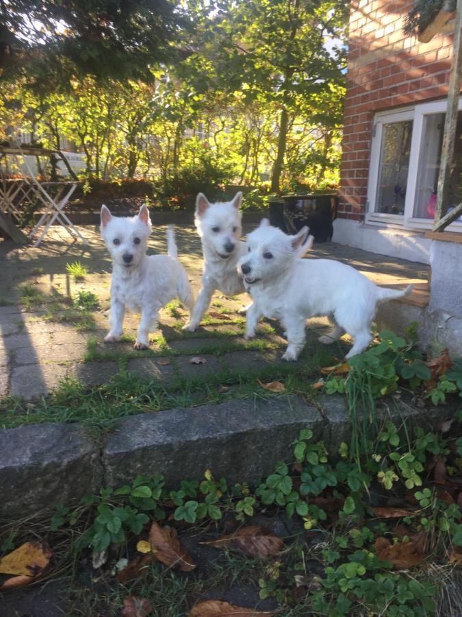 Birkerod Rolighedsvej 14A Bed & Breakfast ภายนอก รูปภาพ